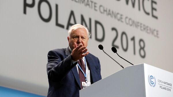 Натуралист Дэвид Аттенборо во время открытия Конференции ООН по изменению климата 2018 года в Катовице, Польша - Sputnik Беларусь