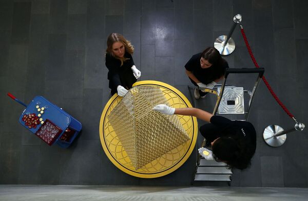 В Мюнхене установили самую дорогую елку в Европе - Sputnik Беларусь