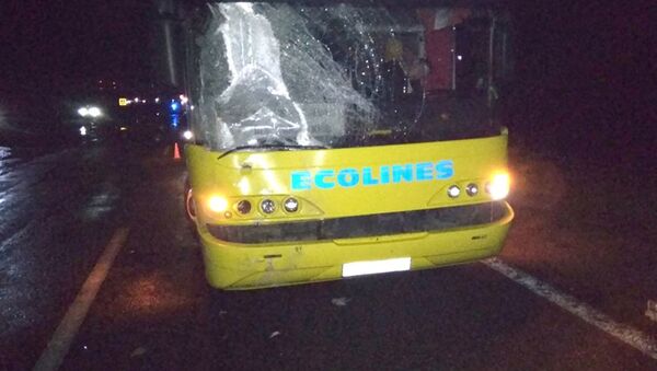 Автобус Вильнюс - Киев сбил женщину в Воложинском районе - Sputnik Беларусь