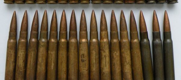 Патроны, изъятые у пенсионера в Могилевской области - Sputnik Беларусь