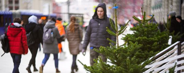 Открытие елочных базаров Открытие елочных базаров - Sputnik Беларусь
