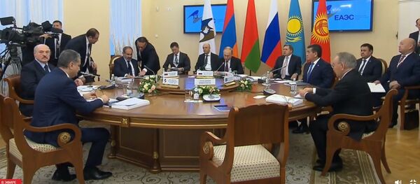 Владимир Путин принимает участие в заседании Высшего Евразийского экономического совета - Sputnik Беларусь