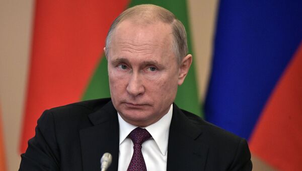 Президент РФ Владимир Путин на заседании Высшего Евразийского экономического совета в узком составе - Sputnik Беларусь