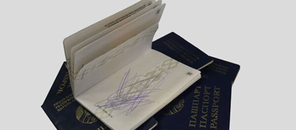 Без пашпарта або з ірваным: топ-3 асноўных праблем з дакументамі на мяжы - Sputnik Беларусь