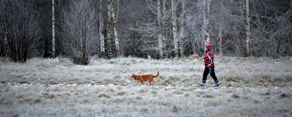 Иней в декабре - Sputnik Беларусь