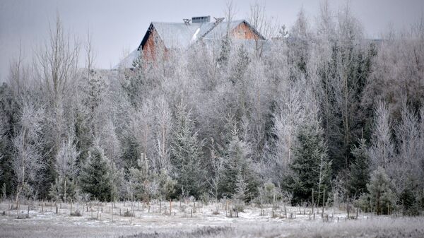 Заснеженные деревья под Минском, архивное фото - Sputnik Беларусь