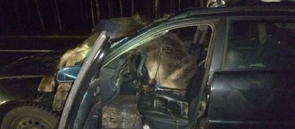 Место ДТП на М1 - Sputnik Беларусь