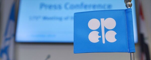 Заседание Организации стран-экспортеров нефти (ОПЕК) - Sputnik Беларусь