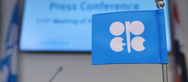 Заседание Организации стран-экспортеров нефти (ОПЕК) - Sputnik Беларусь