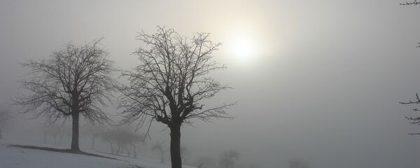 Снег, моцныя туманы і пахаладанне да выхадных: надвор'е ў Беларусі на тыдзень - Sputnik Беларусь