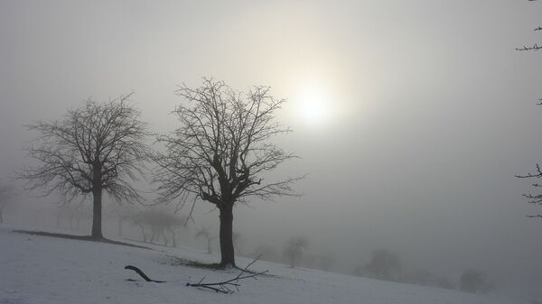 Туман зимой, архивное фото - Sputnik Беларусь