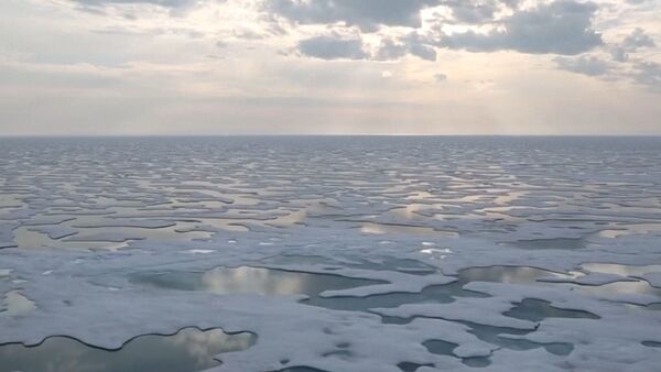 Льды Антарктиды стремительно тают - Sputnik Беларусь