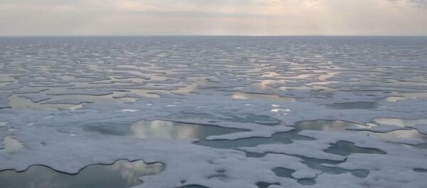 Льды Антарктиды стремительно тают - Sputnik Беларусь