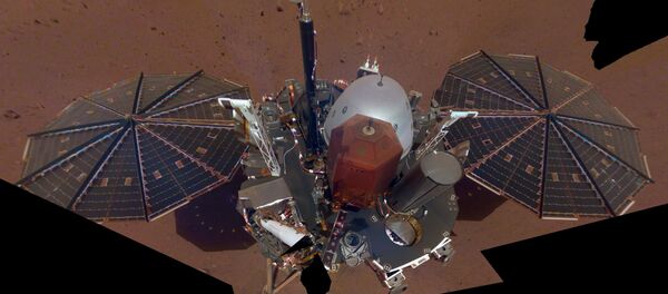 Снимок, сделанный зондом InSight  - Sputnik Беларусь