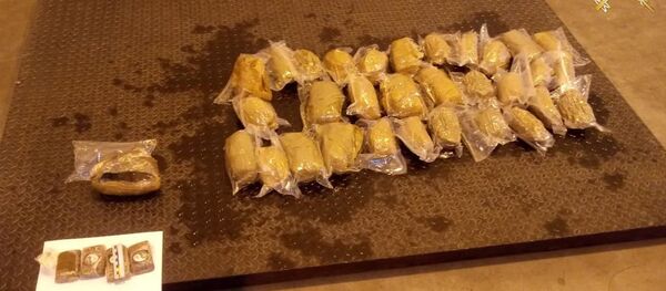 Видеофакт: более 10 кг наркотиков нашли таможенники в автомобиле россиян - Sputnik Беларусь