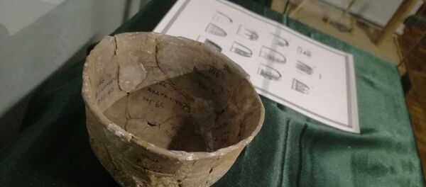 Пахавальную чашу старажытных германцаў можна ўбачыць у Пінску Пахавальную чашу старажытных германцаў можна ўбачыць у Пінску - Sputnik Беларусь