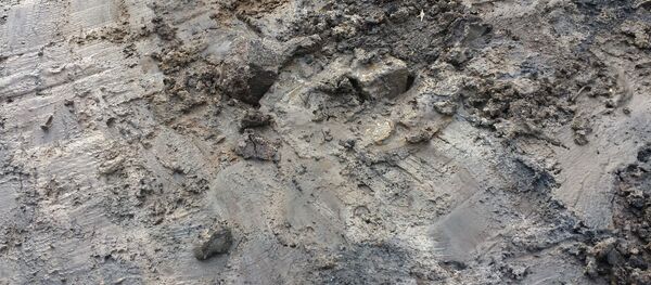 Земля, архивное фото - Sputnik Беларусь