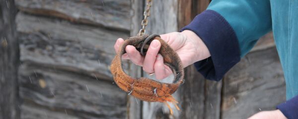 От Макса остался один ошейник - Sputnik Беларусь