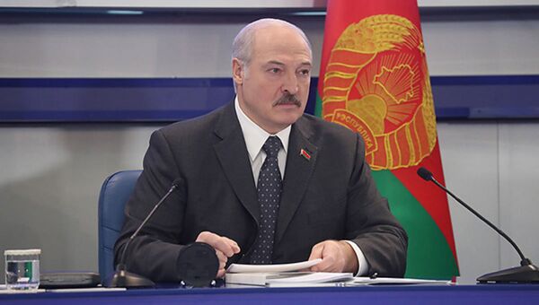 Лукашэнка папрасіў урад даць справаздачу па экспарце - Sputnik Беларусь