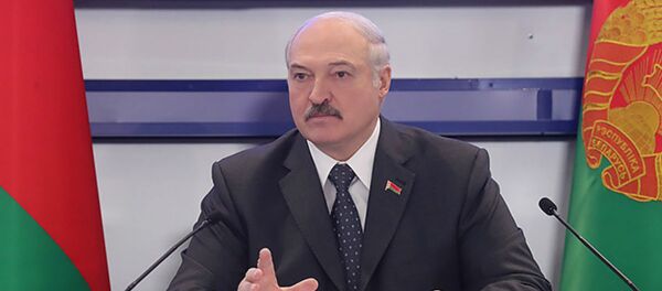 Александр Лукашенко на совещании о развитии летних видов спорта - Sputnik Беларусь