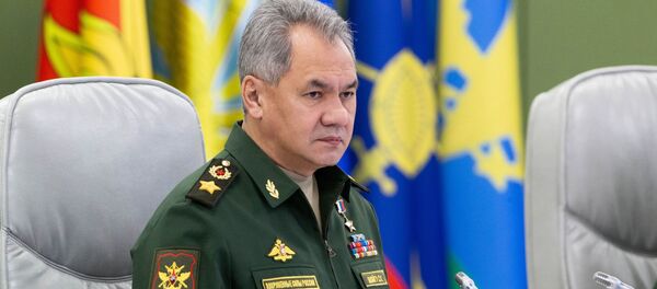 Министр обороны России Сергей Шойгу - Sputnik Беларусь