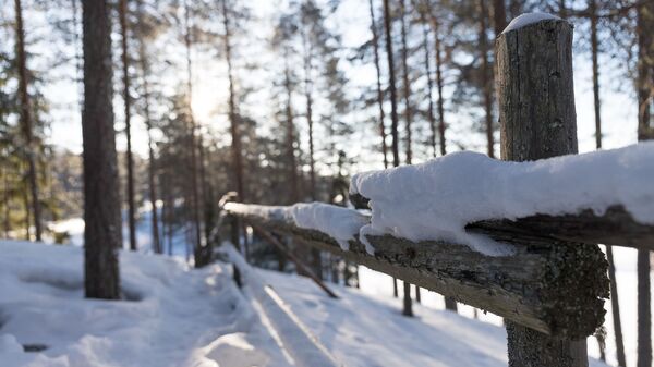 Зима, архивное фото - Sputnik Беларусь