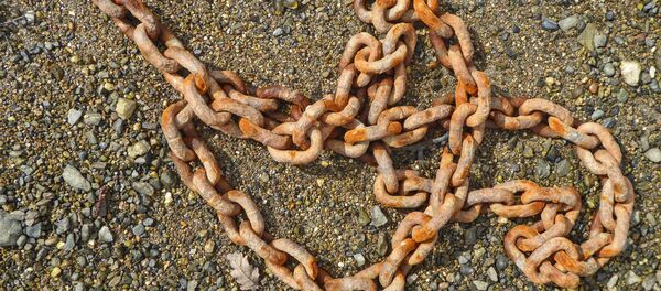 Цепь, архивное фото Цепь, архивное фото - Sputnik Беларусь