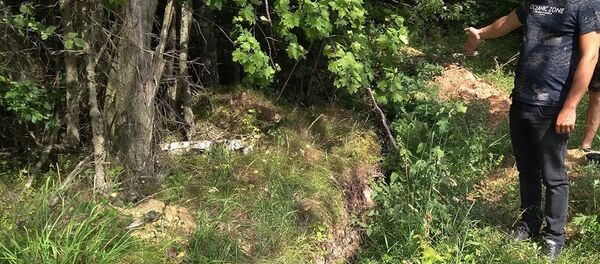 Место раскопок злоумышленников - Sputnik Беларусь