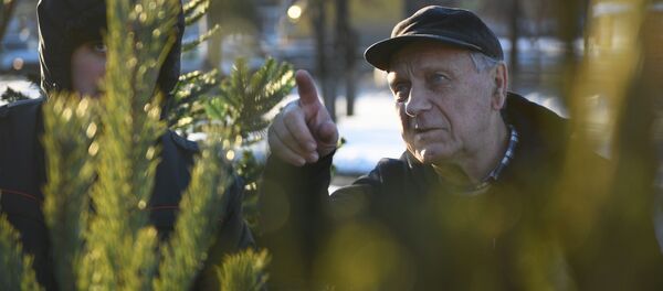 Работа елочного базара, архивное фото Работа елочного базара, архивное фото - Sputnik Беларусь