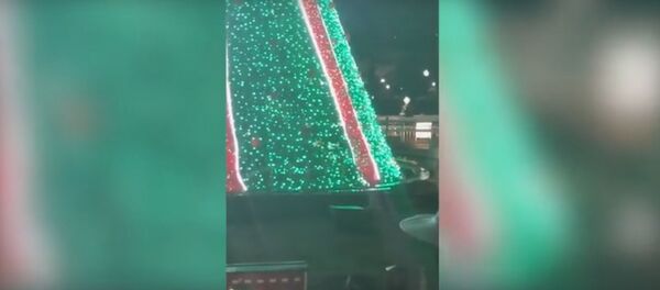 Видеофакт: мужчина забрался на рождественскую елку Белого дома - Sputnik Беларусь