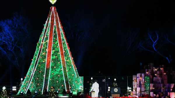 Зажжение национальной рождественской ели в Вашингтоне  - Sputnik Беларусь