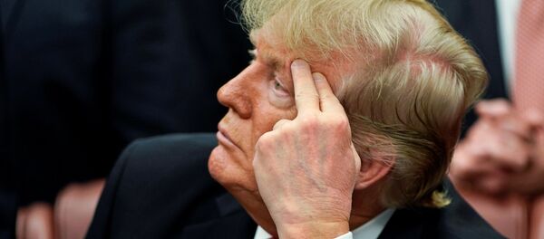 Президент США Дональд Трамп Президент США Дональд Трамп - Sputnik Беларусь