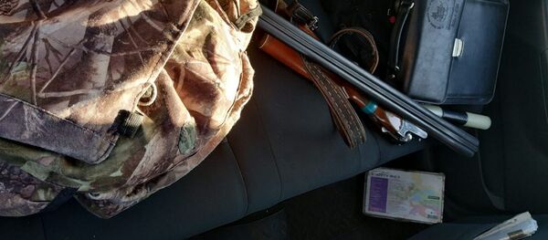 Мужчина устроил охоту на зайца прямо в деревне Мужчина устроил охоту на зайца прямо в деревне - Sputnik Беларусь