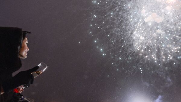 Фейерверк на Новый год, архивное фото - Sputnik Беларусь