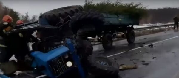 Трактор с новогодними елками перевернулся возле Малориты  - Sputnik Беларусь