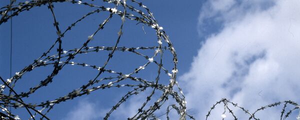 Колючая проволока, архивное фото - Sputnik Беларусь