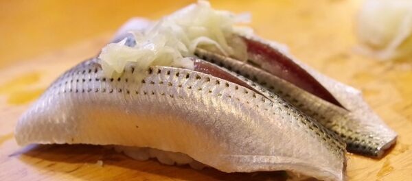 Селядзец - Sputnik Беларусь