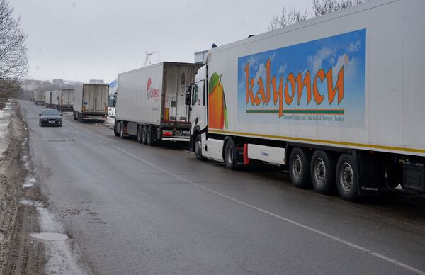 Везу мандарины, хочу в душ. Как фуры снова застряли у склада в Заславле - Sputnik Беларусь