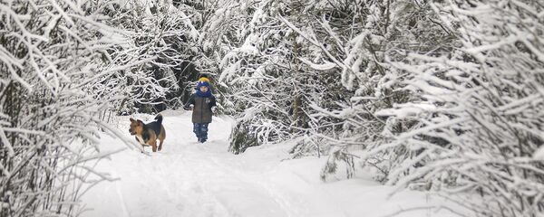 Зимняя деревня - Sputnik Беларусь
