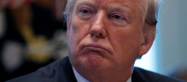 Президент США Дональд Трамп - Sputnik Беларусь