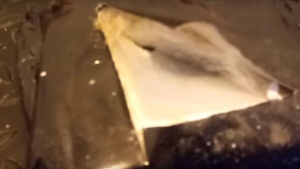 Иностранец пытался ввезти в Беларусь 2,5 килограмма кокаина – видео - Sputnik Беларусь