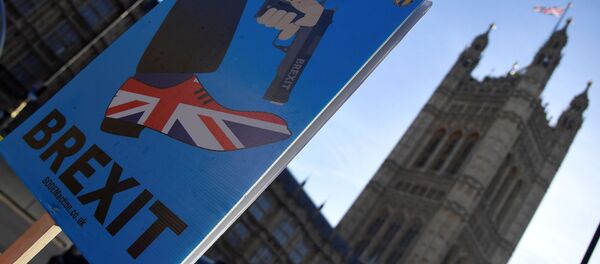 Выступления против Brexit в Лондоне - Sputnik Беларусь