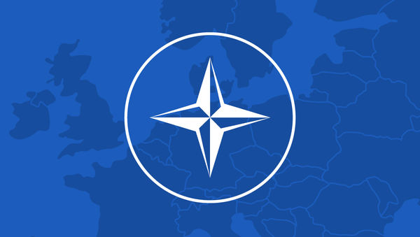 Военные базы НАТО в Европе – инфографика на sputnik.by - Sputnik Беларусь