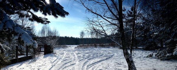 Зима, архивное фото - Sputnik Беларусь
