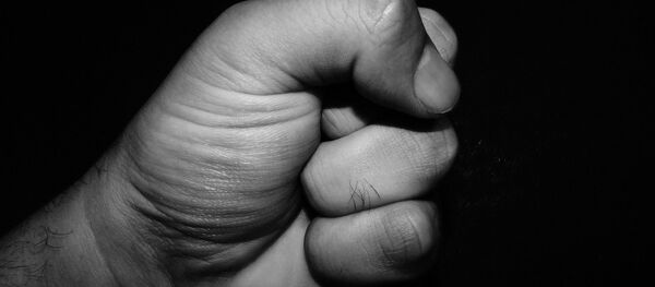 Кулак, архивное фото - Sputnik Беларусь