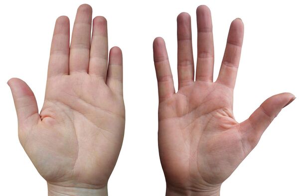 Лукашенко – хороший политик, Бузова – скандалистка: что о нас говорят руки - Sputnik Беларусь