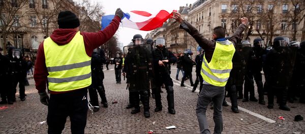 Протесты желтых жилетов в Париже 12 января - Sputnik Беларусь