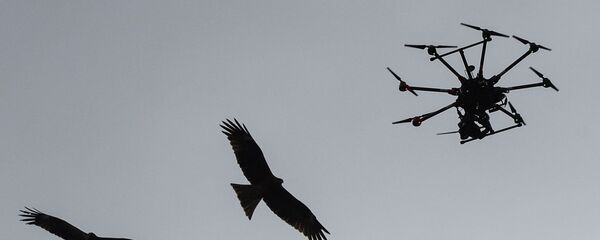 Мультикоптер (беспилотник) в небе Мультикоптер (беспилотник) в небе - Sputnik Беларусь