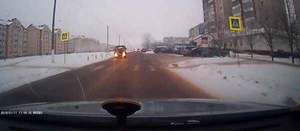 Пружанские водители в восторге от кота, который соблюдает ПДД - Sputnik Беларусь