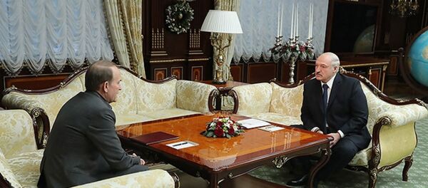 Встреча президента Беларуси Александра Лукашенко с украинским политическим и государственным деятелем Виктором Медведчуком - Sputnik Беларусь